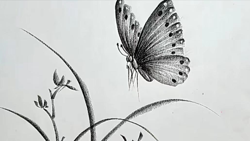 飘落的花瓣是凋零的思念,凋零的花瓣简单手工幼儿