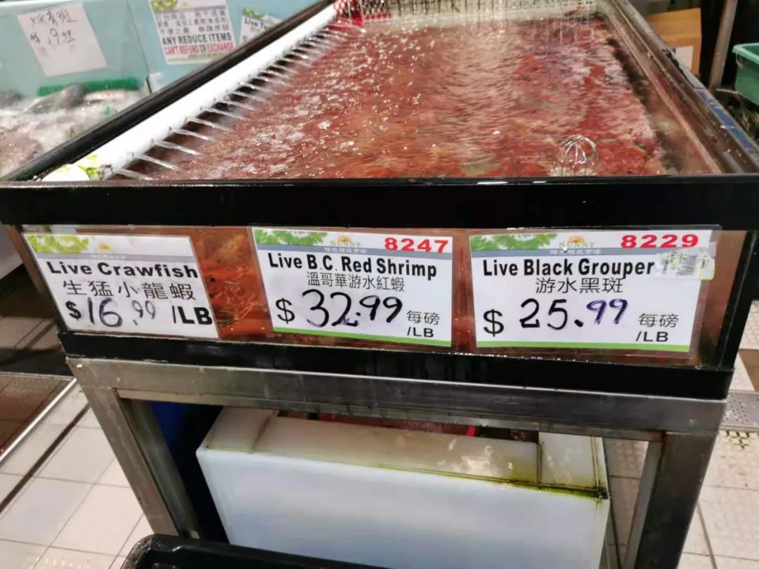 加拿大移民l多伦多的食品超市（更新篇）