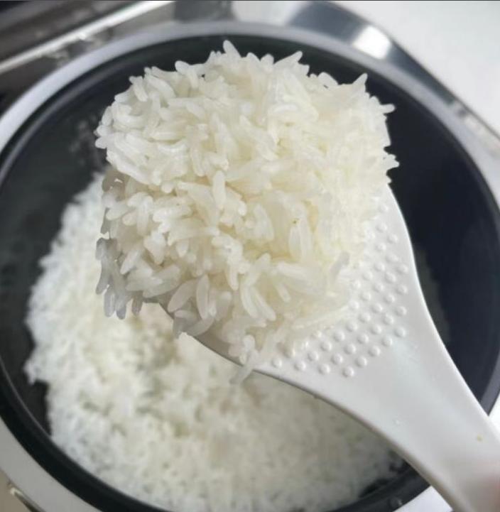 电饭煲贵的和便宜的有什么区别,电饭煲有必要买两个胆的吗