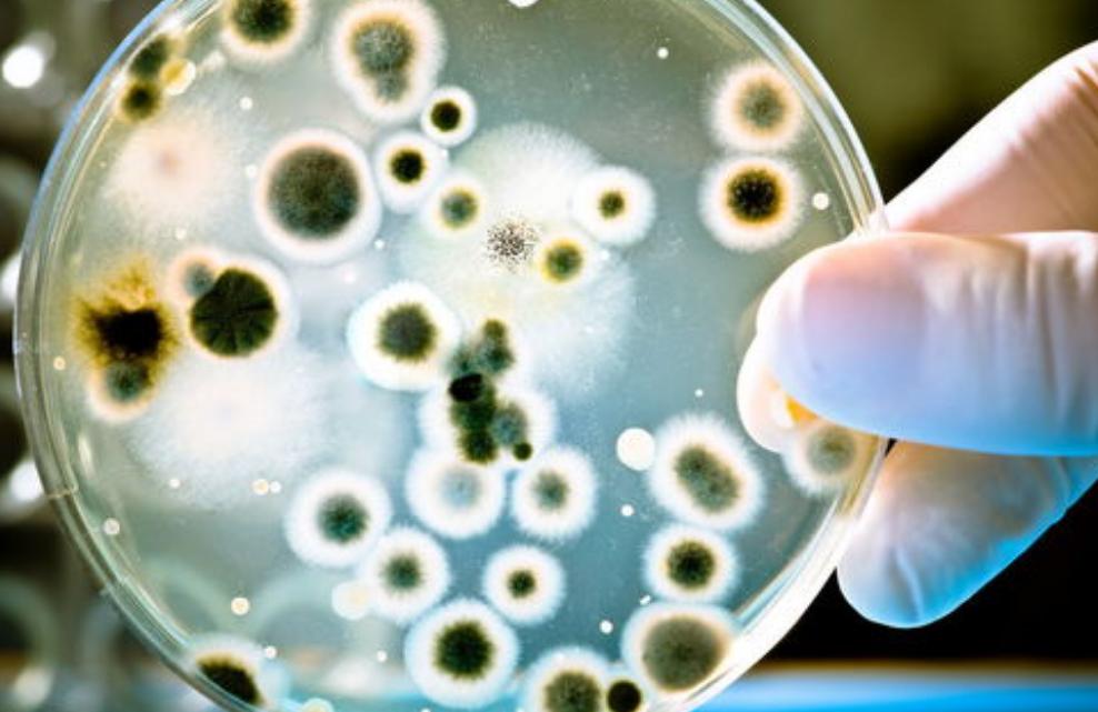 女人平时需要警惕的表现,女性身上有异味是大病的前兆