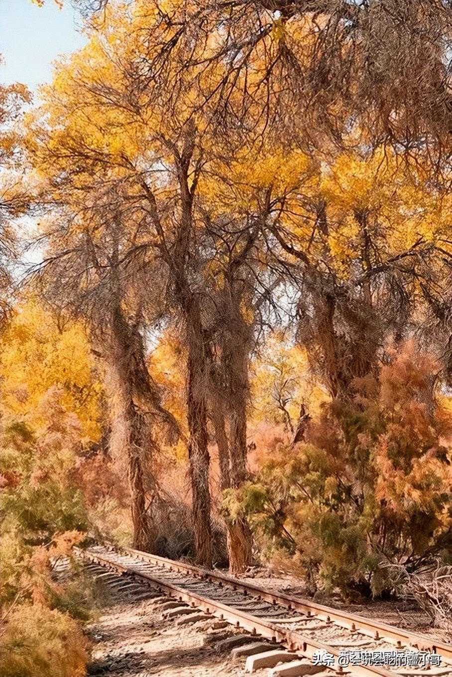 6天游南疆攻略,南疆旅游攻略七日游跟团