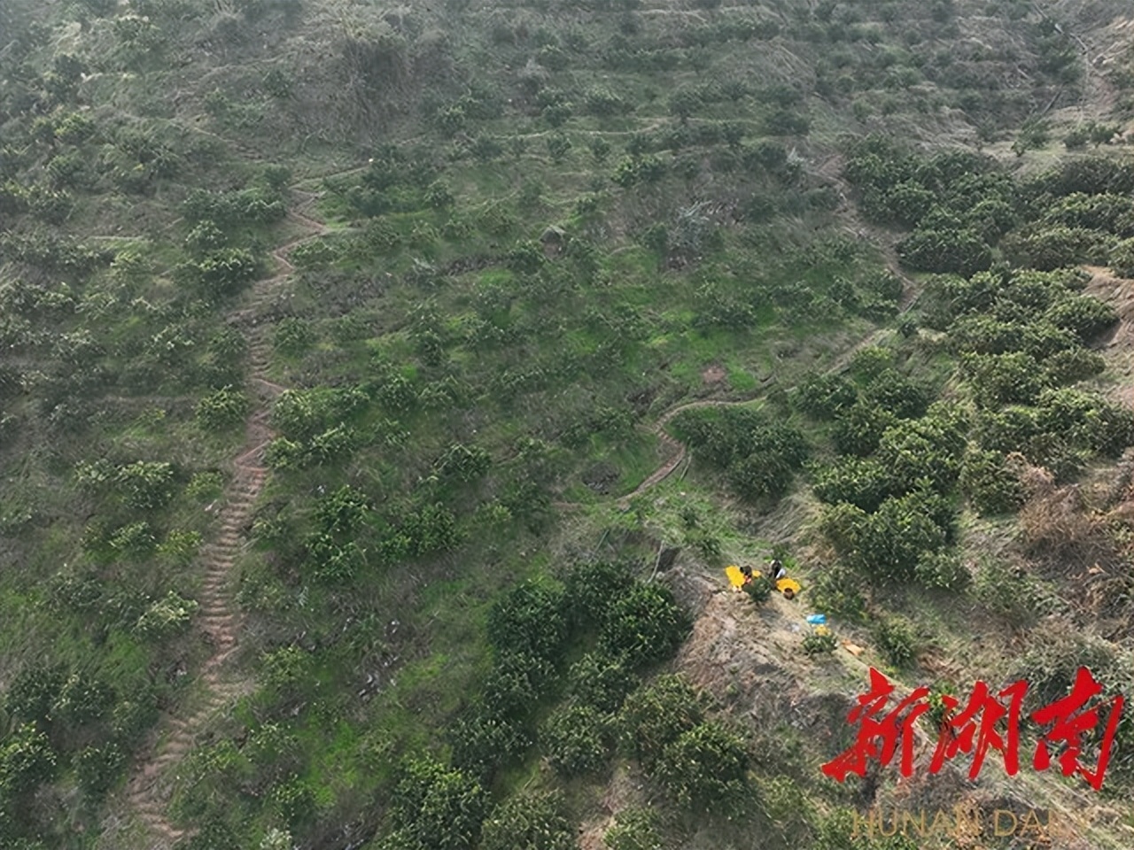 辛巴辛有志和主播连麦,辛巴辛选团队带货