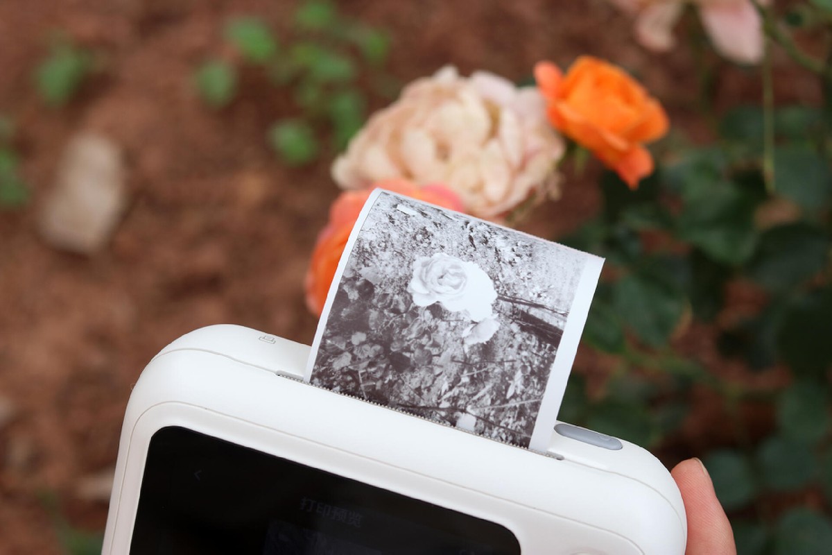 喵喵机智能学习打印机N1体验：脱离手机打印学习，培养孩子专注力