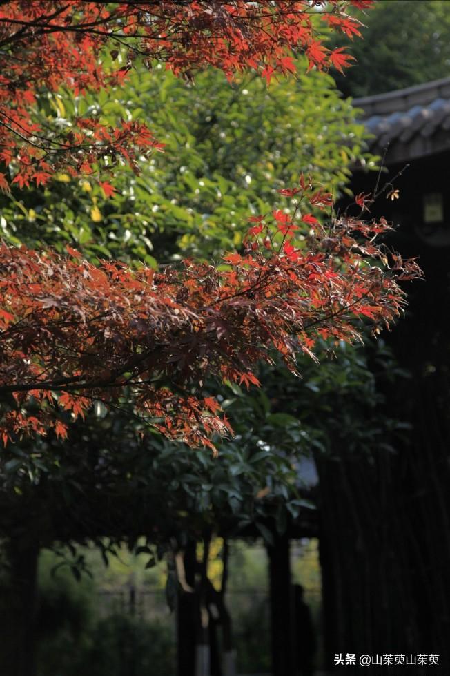 芜湖旅游攻略教堂,芜湖鸠兹风景区