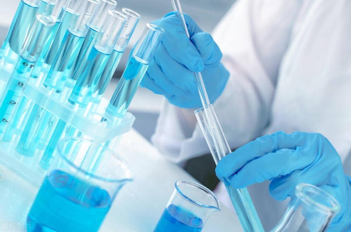 木聚糖醇和木聚糖酶有啥区别,木聚糖酶喂牛的功能及应用