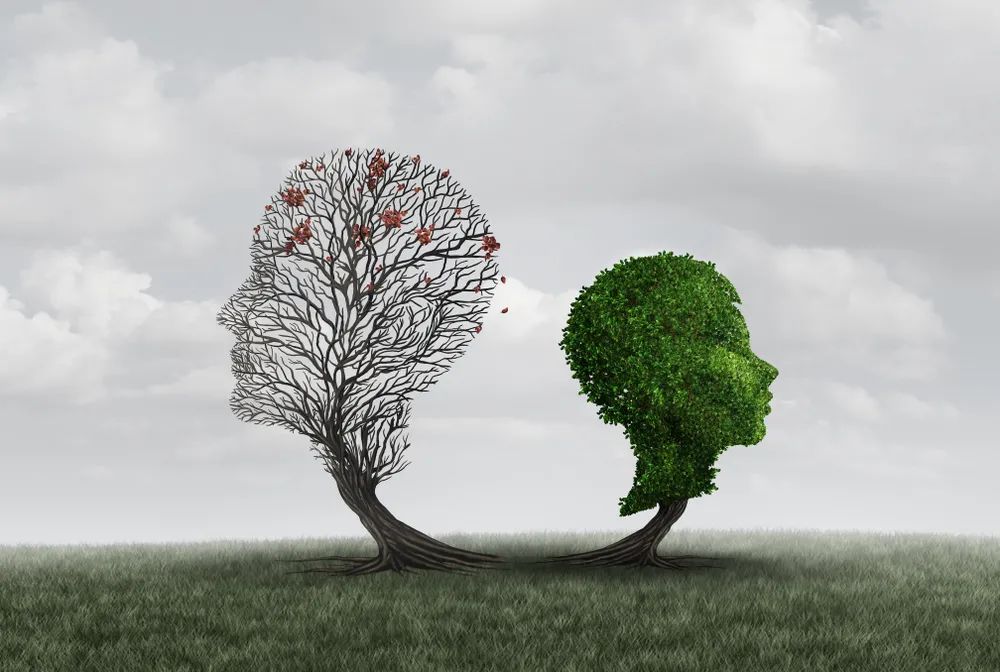 数学天才张益唐的坎坷人生,谈谈华人数学家张益唐的数学人生