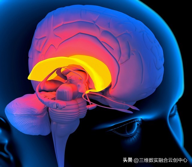 人类思维的基本知识,认知思维提升人性思维的5点规律