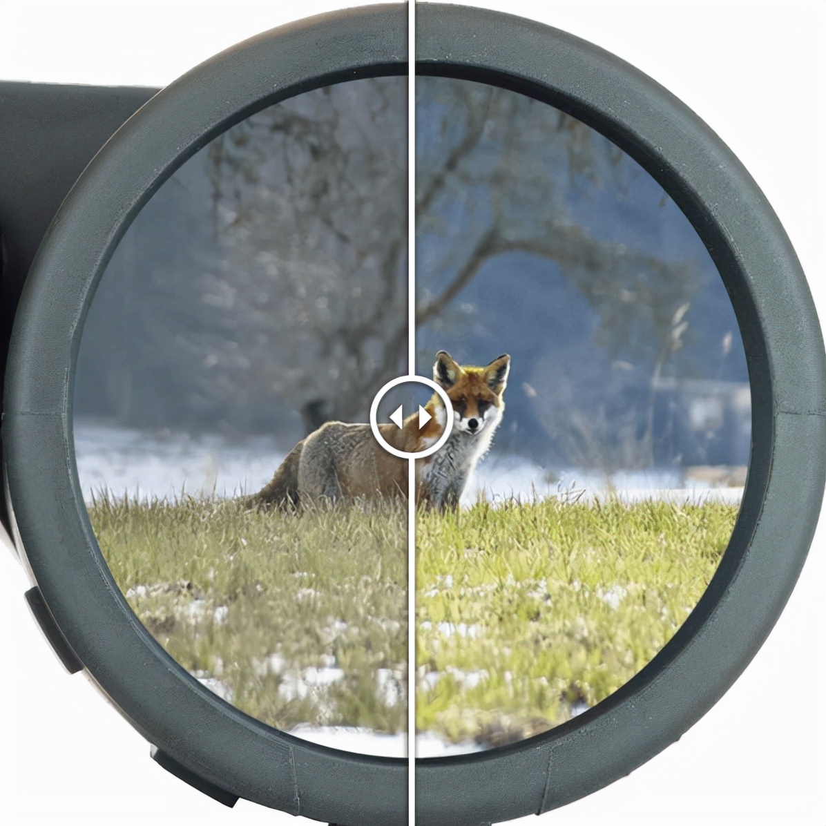 这架望远镜，各国政要和好莱坞大咖都爱不释手