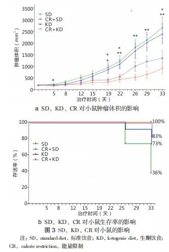 生酮饮食联合疗法治疗恶性肿瘤研究进展