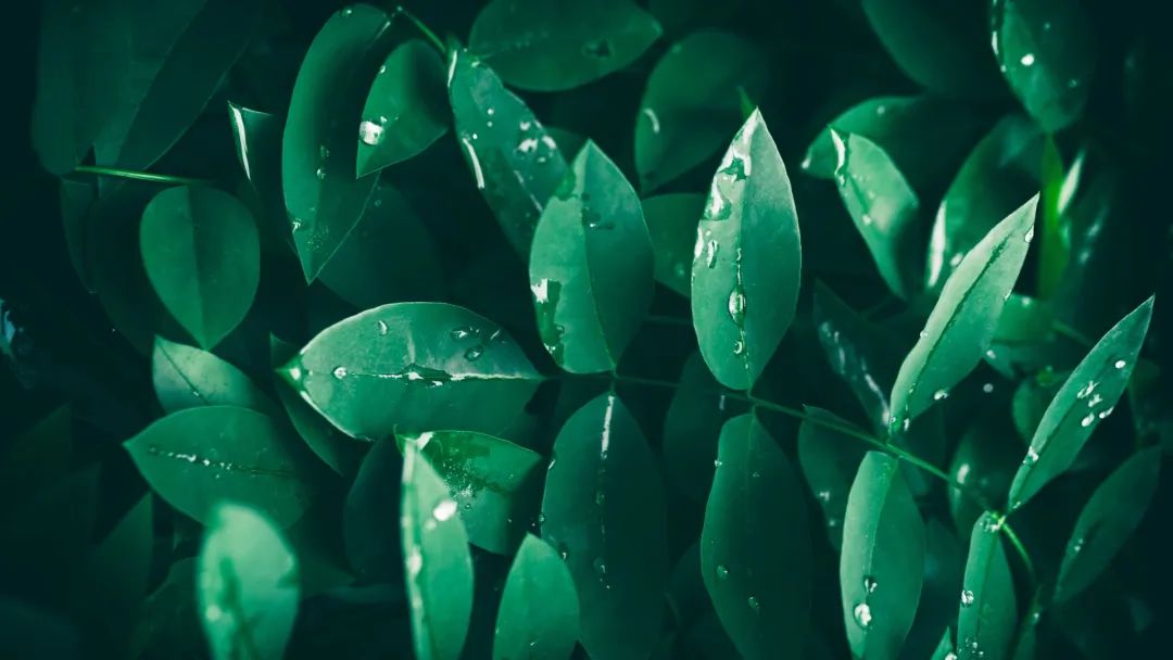 ppt蒙版教程,蒙版ppt的使用方法和步骤