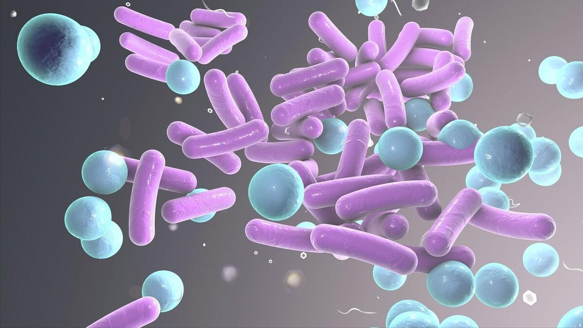 大蒜洋葱降血压还需吃降血压药吗,黄瓜降血压好还是洋葱降血压好