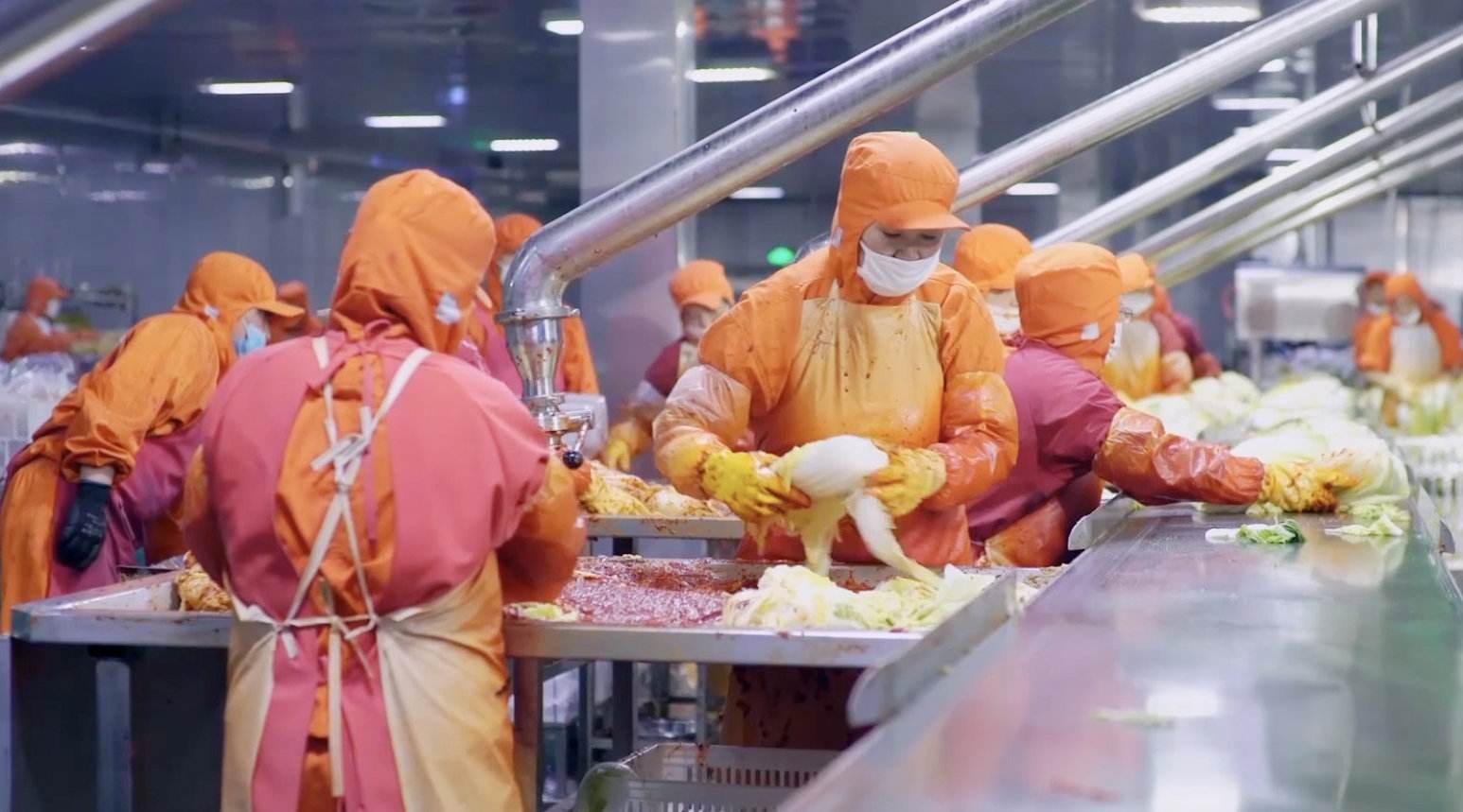 一颗白菜90元，韩国面临泡菜危机，山东小镇掌控韩国人泡菜自由