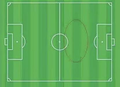 里克尔梅最后一场视频,里克尔梅集锦巅峰是哪年