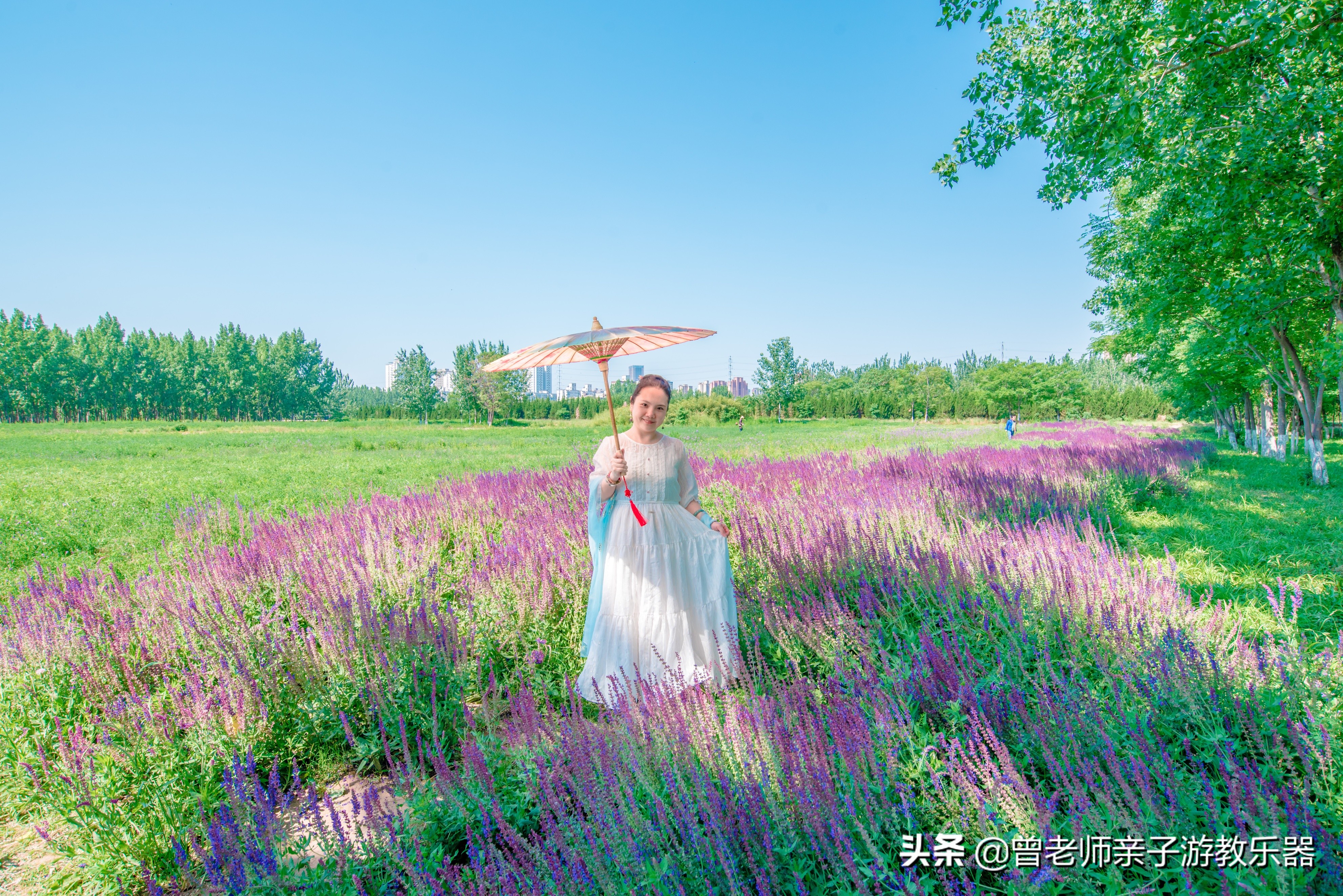 汉长安城未央宫遗址公园露营电话,汉长安城遗址公园露营最新