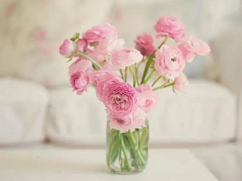 女性宫寒中医按摩,中医治疗女性宫寒