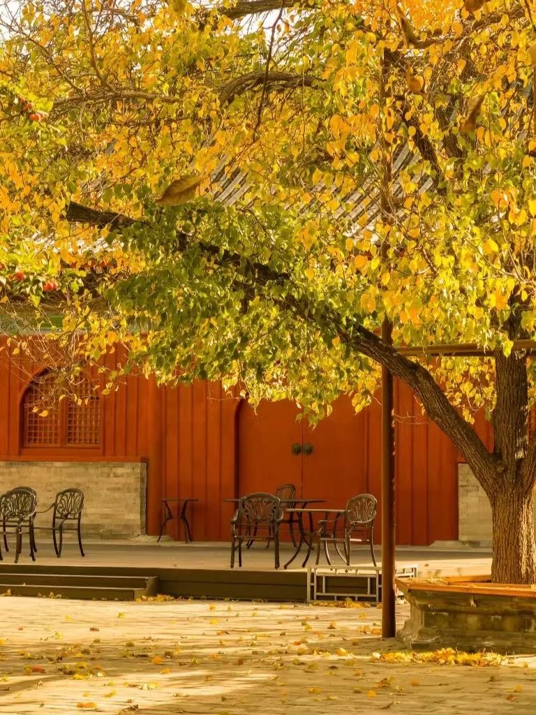 一入秋北京就变成了北平原文,一入秋北京就成了北平是谁说的