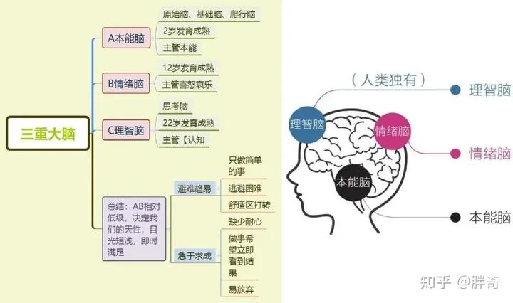 如何突破低效成长的“怪圈”，改变空虚内卷、低效麻木的状态？