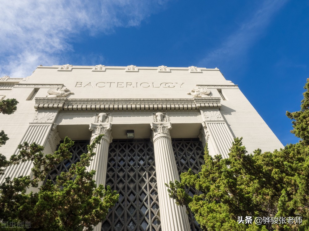 国外名校哪些专业推荐去,国外申请大学热门专业排名