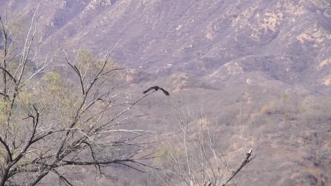 闃滃钩涓夊博瀵ㄥ啲鏃ュ皬姹熷崡,鍐棩灏忔睙鍗楅槣骞充笁宀╁