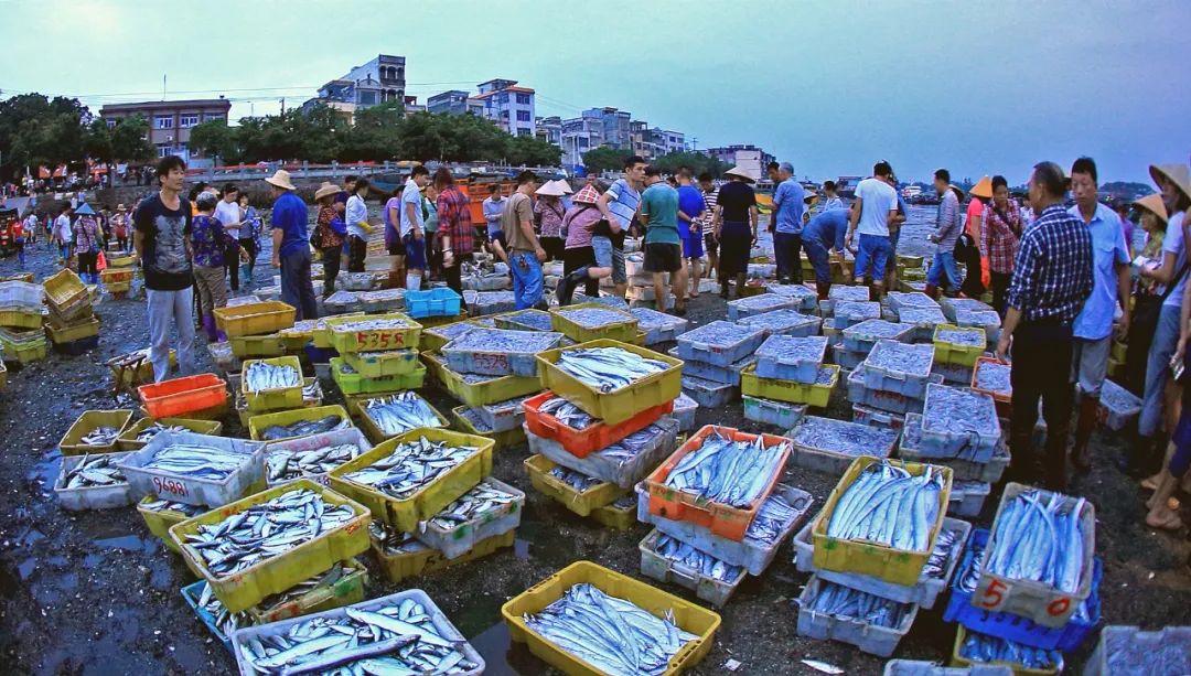这50张图,就是你开海后要来一趟防城港的理由
