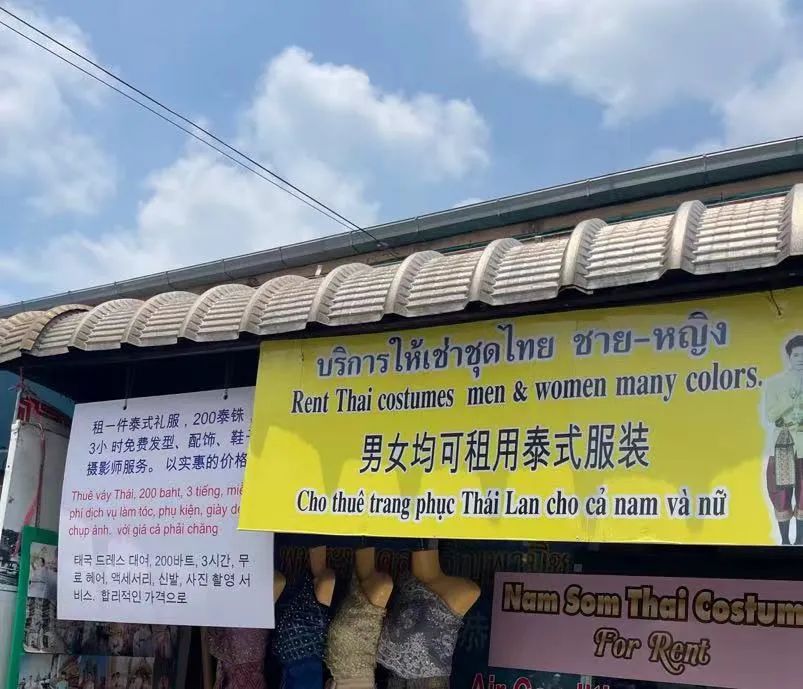 美成这样了还要什么审美,美成这样人生还有烦恼吗