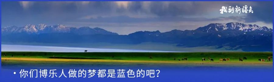 入疆旅游攻略,环疆旅游攻略大全