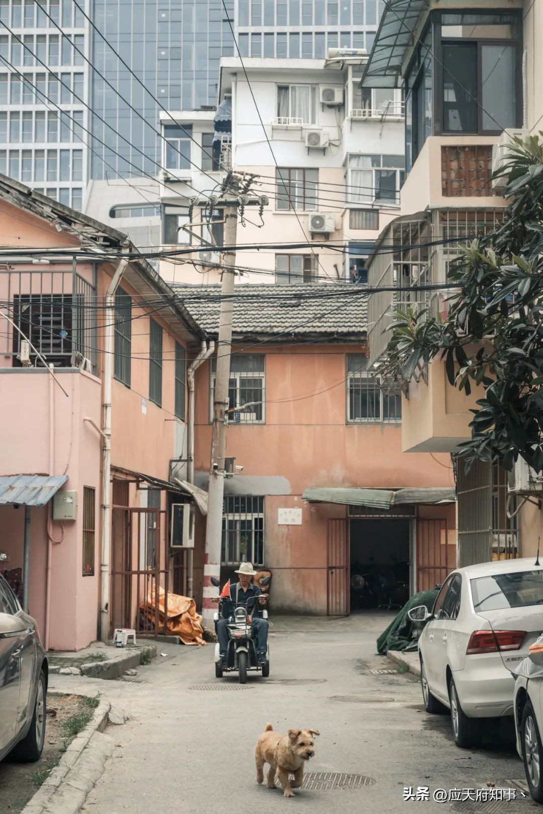 airmax720夏天,耐克720适合夏天穿的吗