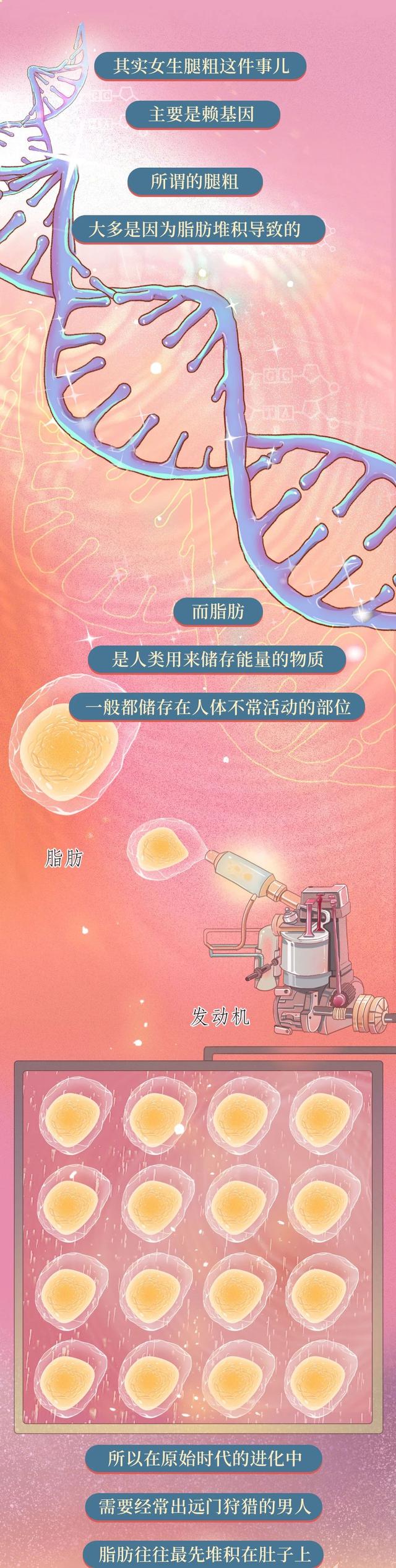 女生的腿和男生腿粗对比,男生的腿vs女生的腿图片