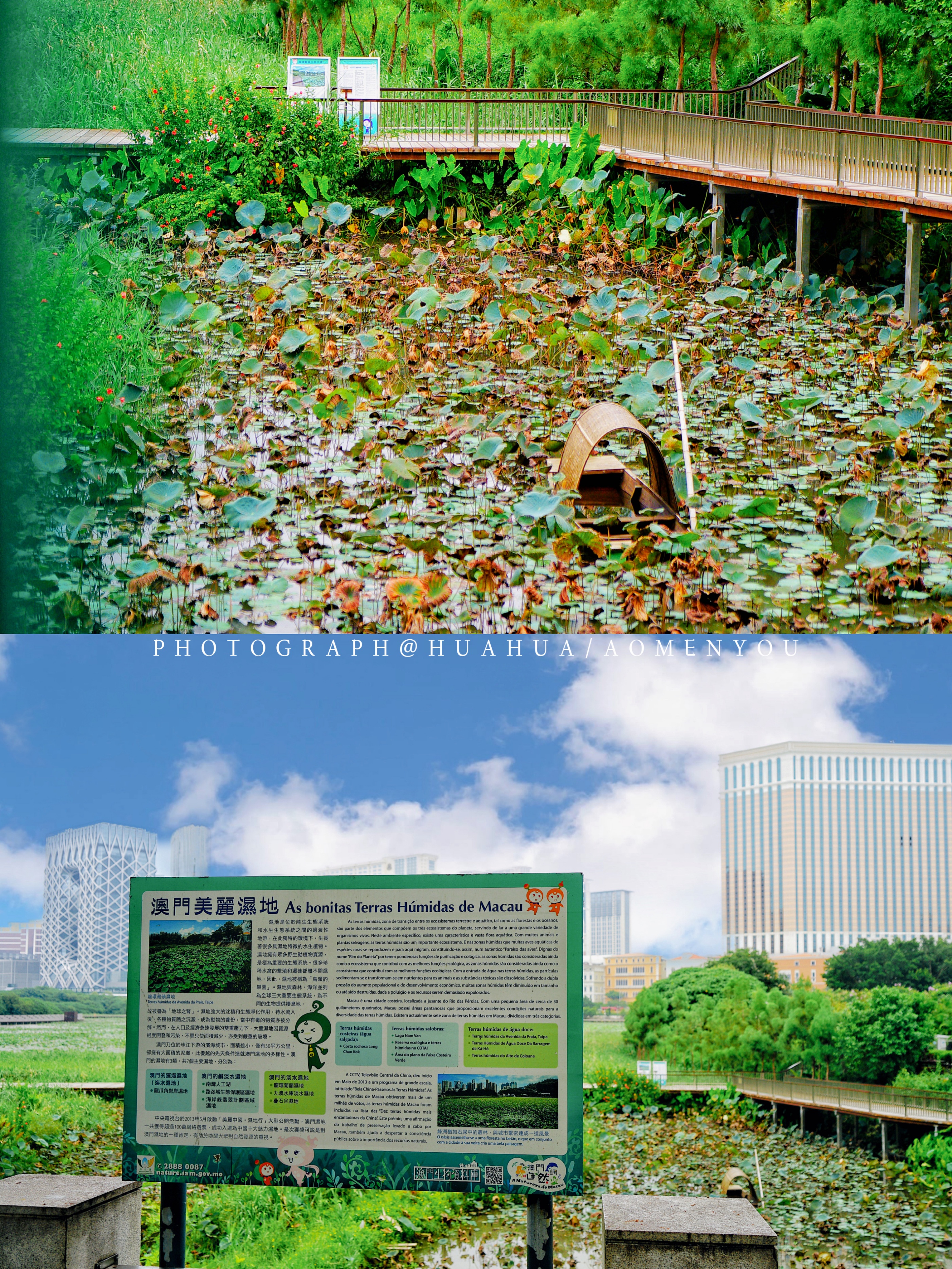 游澳门攻略,澳门旅游攻略自由行五天4晚