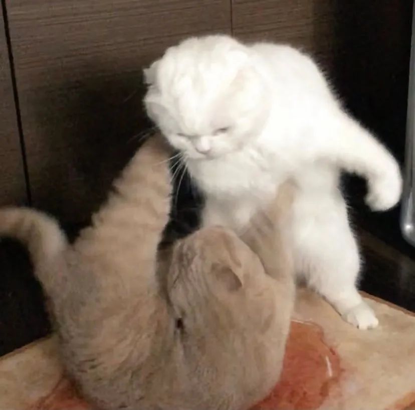 热门朋友圈封面背景图