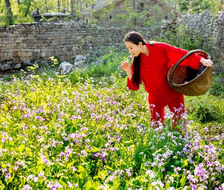 高高的紫云山,我们的青春故事曾在这里演绎