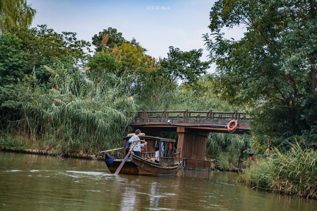 扬州值得推荐的早茶,广东早茶和扬州早茶真的没法比
