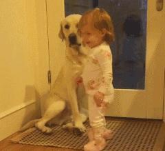 18种对主人很忠心也很凶猛的狗,能看着而且很忠诚颜值高的四种狗