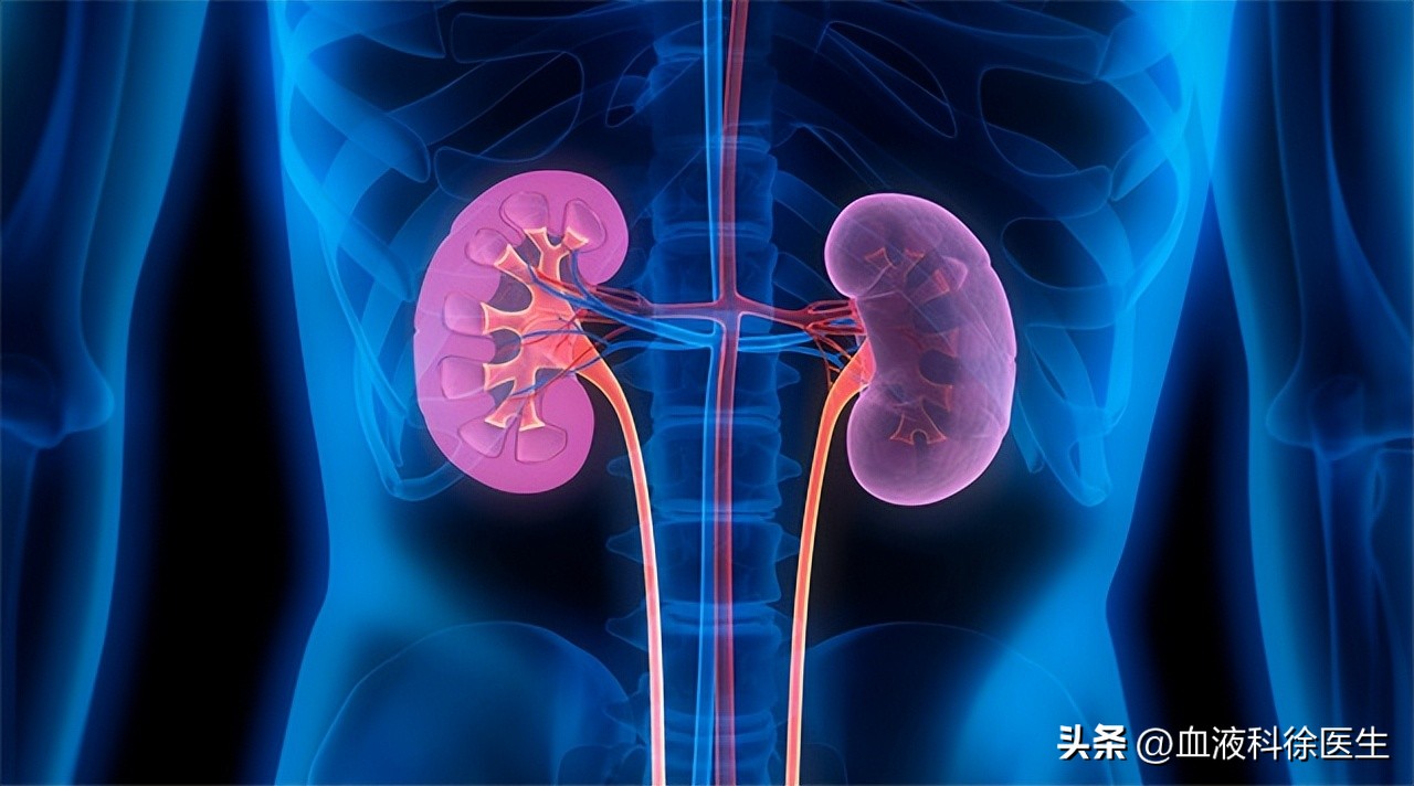 肾衰竭有这5个征兆不痛不痒,肾衰竭为什么就不排水了