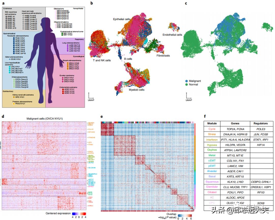 泛癌分析是怎么找到特定的基因的,癌细胞分析最新研究