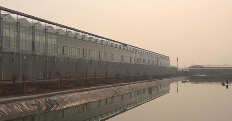 公务员辞职养蟑螂现在成亿万富翁,公务员辞职养蟑螂