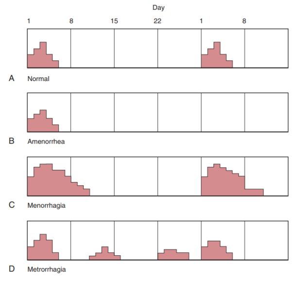 体检妇科不过怎么办,体检中哪些妇科病不用治