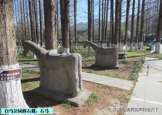 白马公园白马石刻朝代,公园石刻精品欣赏
