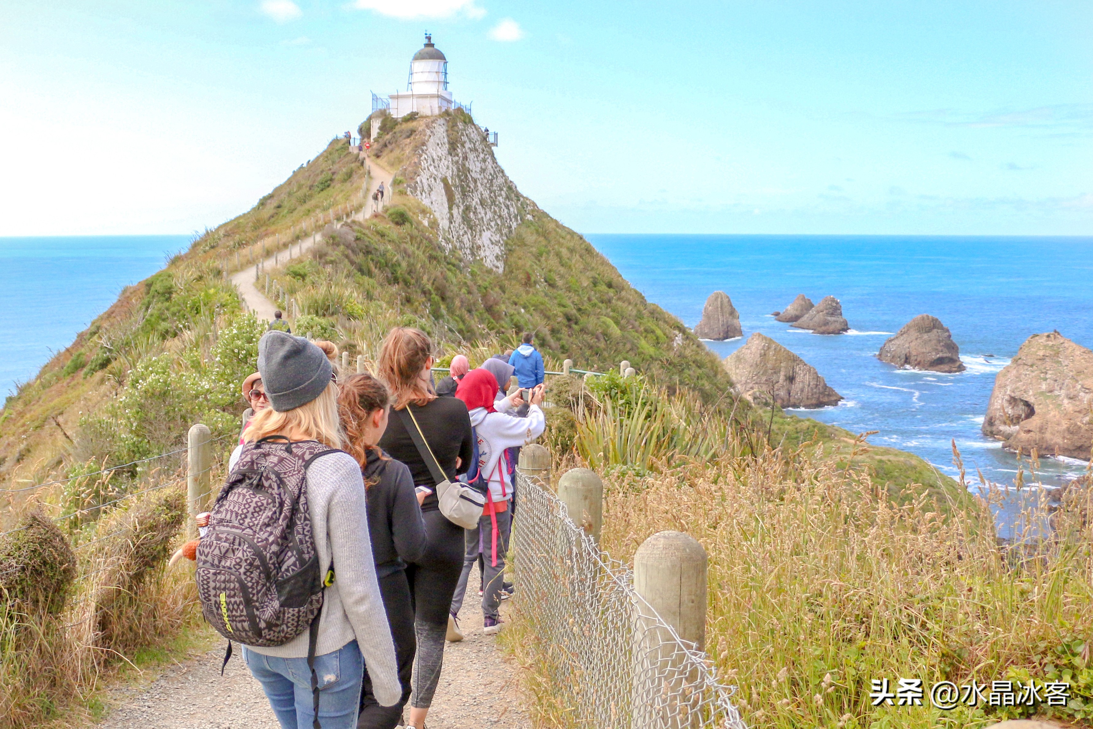 南岛新西兰之旅,新西兰之南岛
