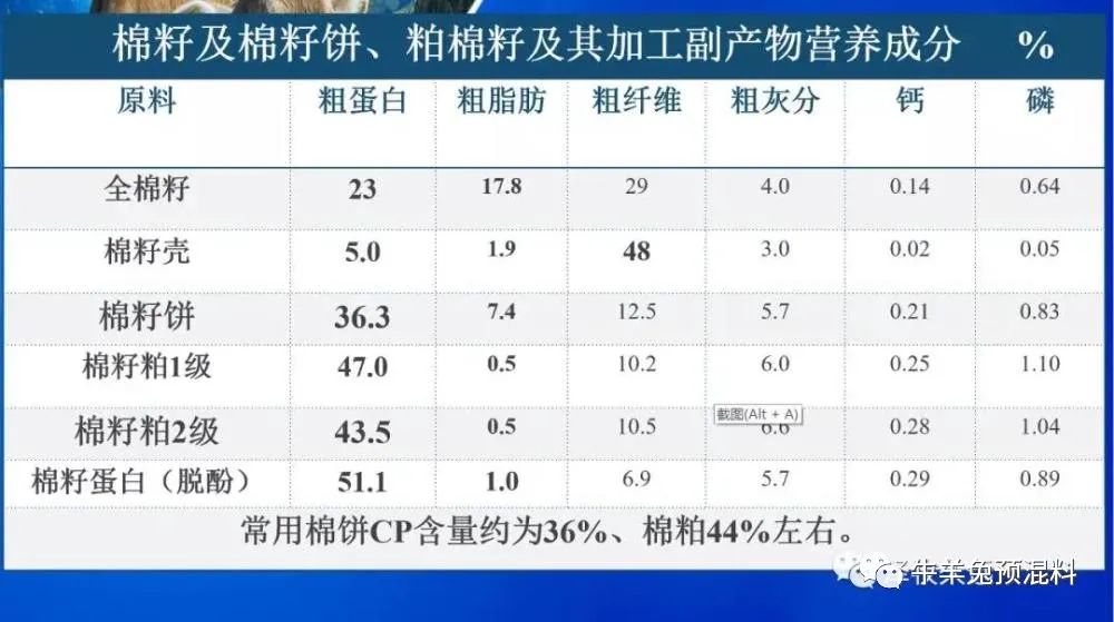 豆粕暴涨严重影响养猪业,豆粕疯涨能用什么替代