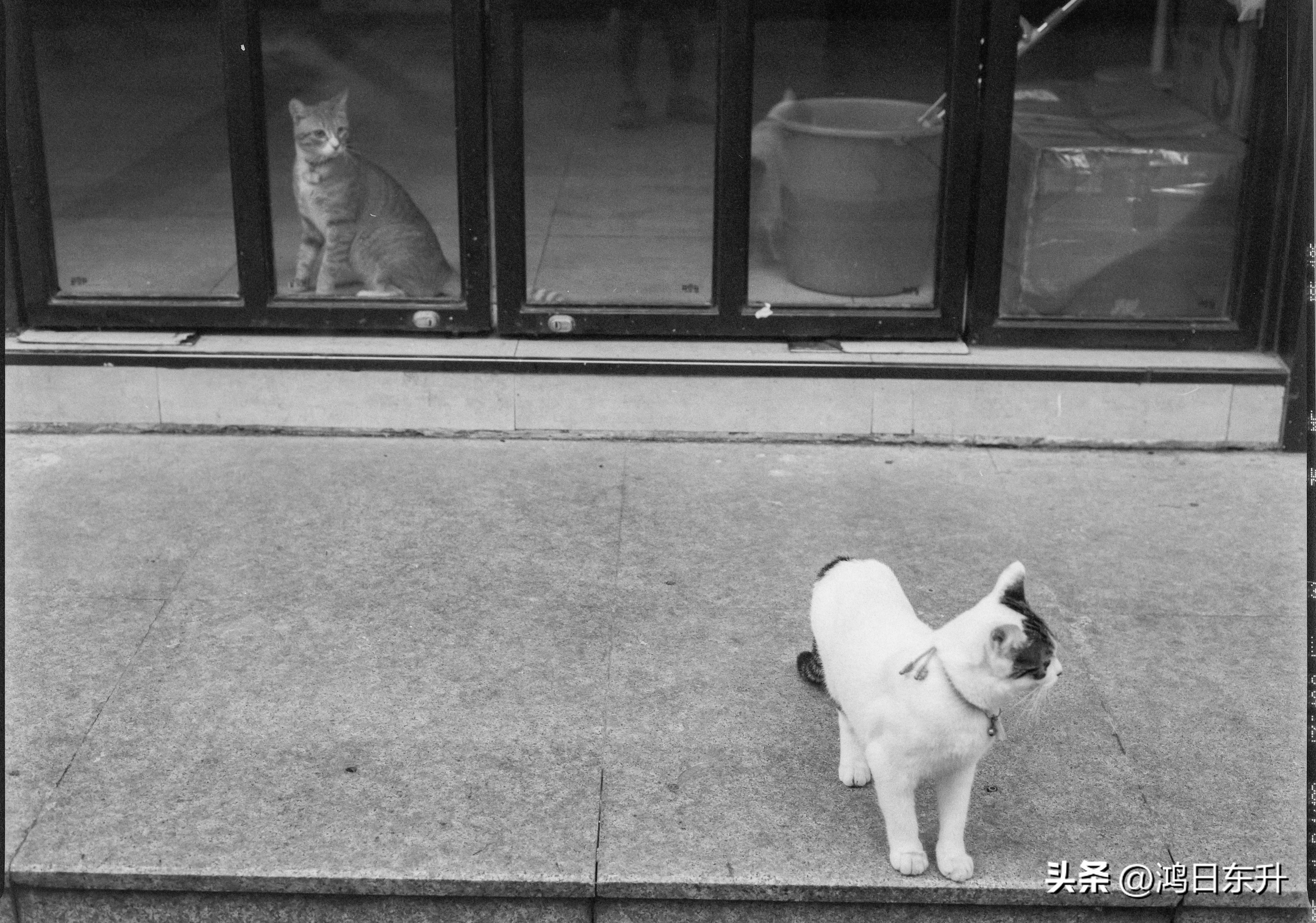 宾得645Nii老胶片相机值得拥有