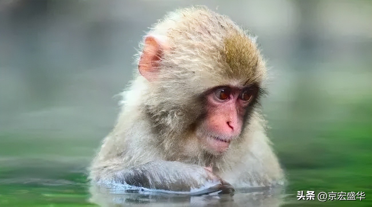 晋城的九重天阙