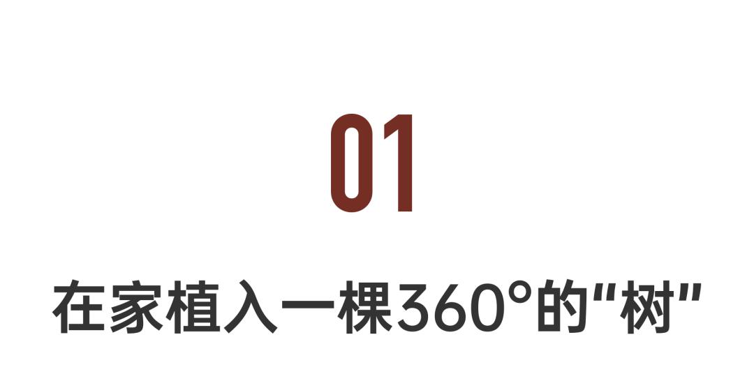 夫妻花110万建豪宅,上海夫妻斥资140万打造环绕的家