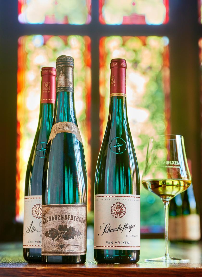 雷司令生日,雷司令2017