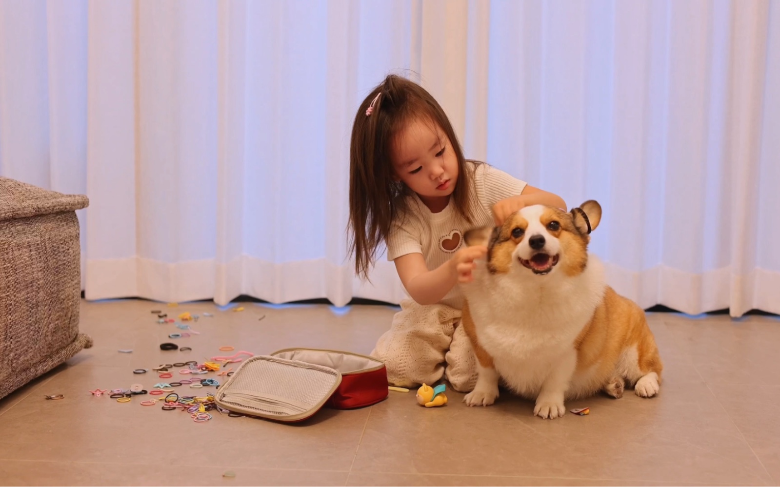 家里有小孩的适合养什么品种狗狗,最适合有小孩家庭养的狗狗