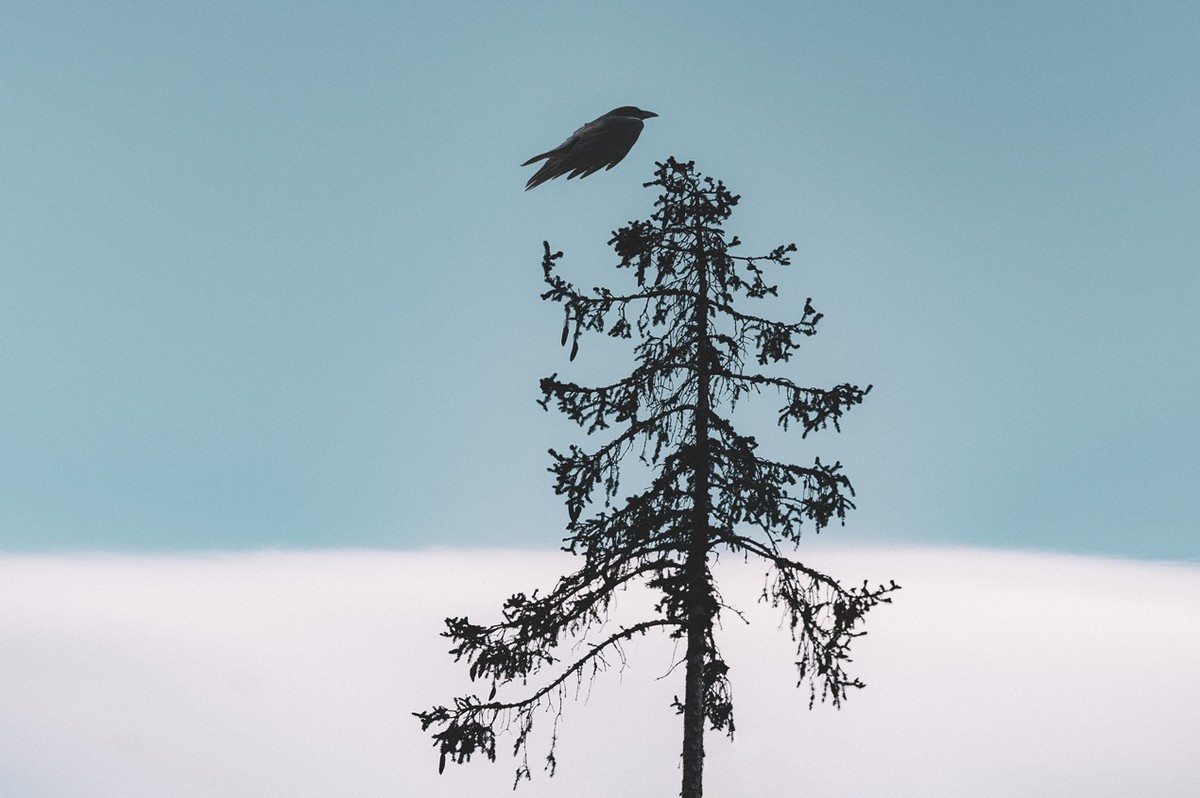 唯万密封是做什么的,唯万密封