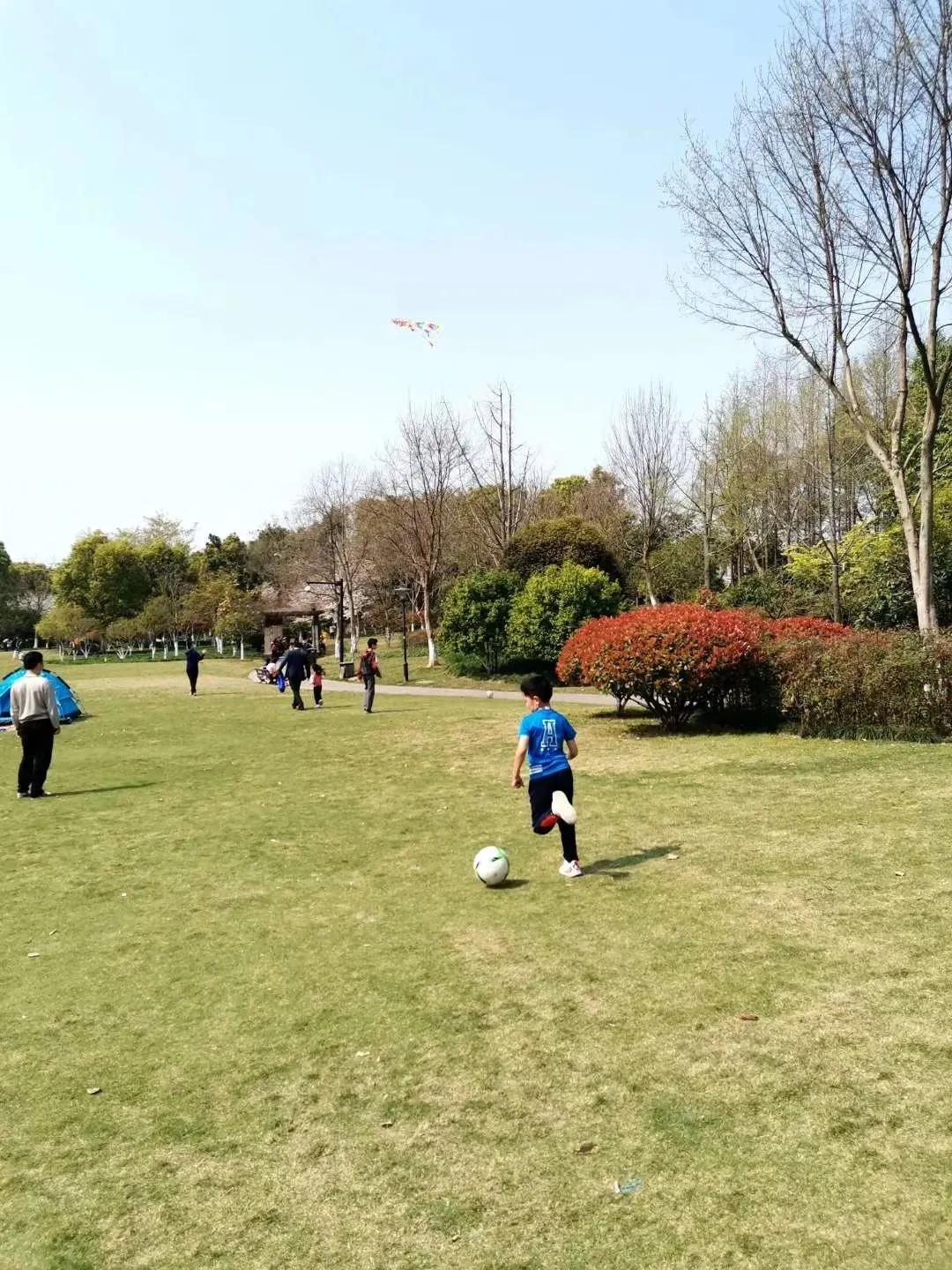 大草坪放风筝,草坪大风筝