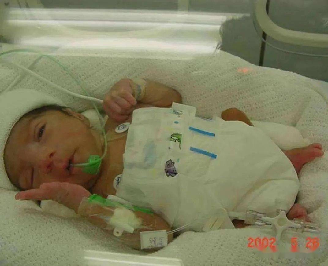 半身小伙穆夫塔,半身穆夫塔简介