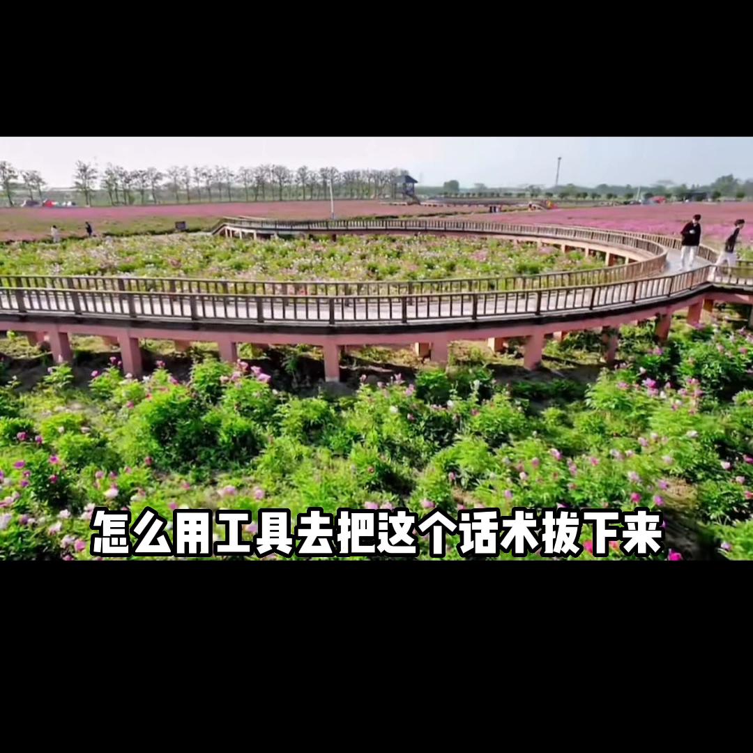 直播和短视频哪个更重要#渠联社