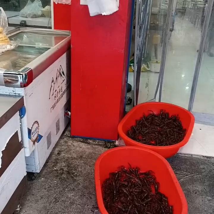 巧肥羊招女工，20-35岁。#味道好极了你们想吃吗